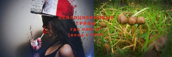 экстази Алзамай