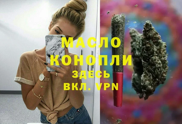 дмт Алексин