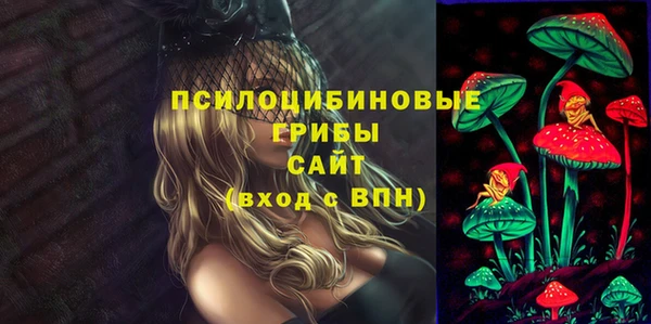 дмт Алексин